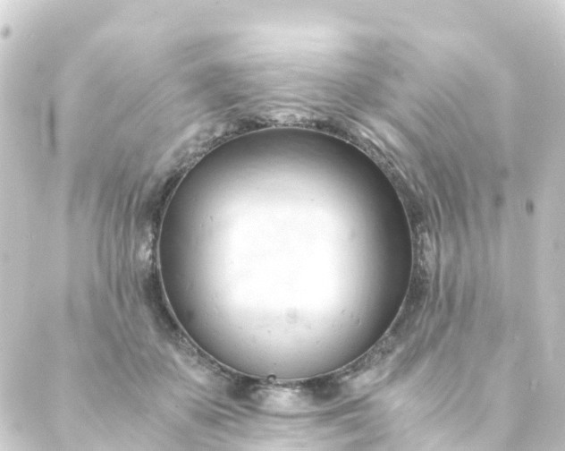 X0000088910507200706221933