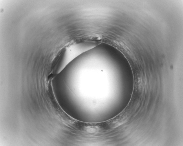 X0000088910508200706221933