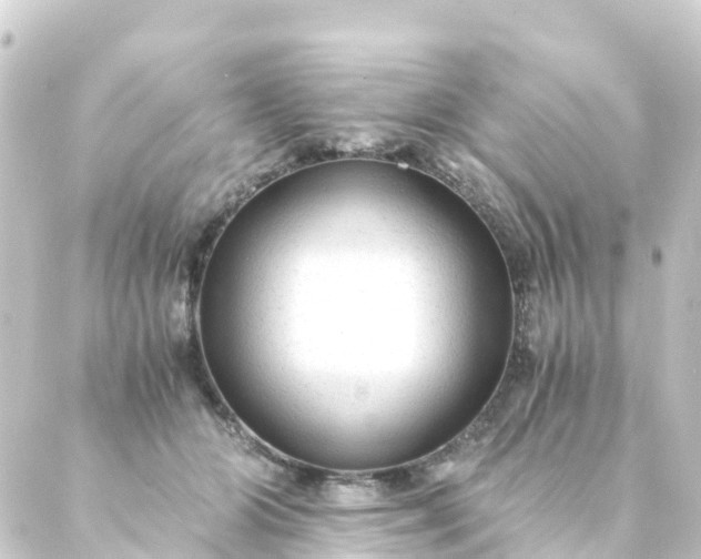 X0000088910510200706221933