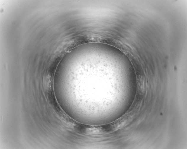 X0000088910511200706221933