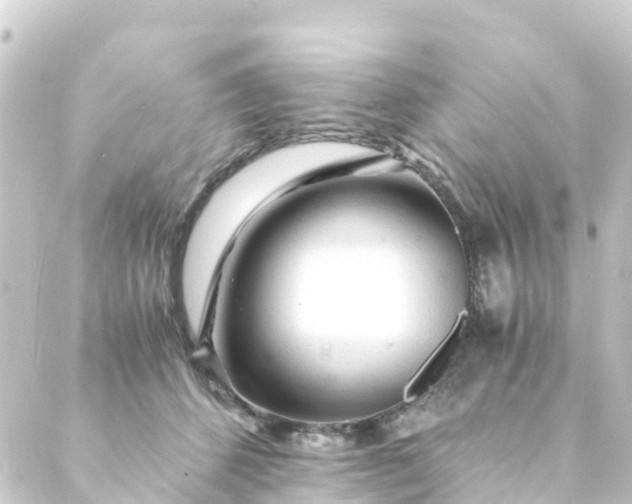 X0000088910512200706221933