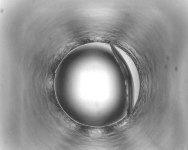 X0000088910513200706221933