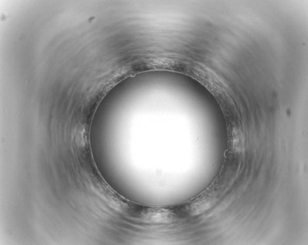 X0000088910514200706221933