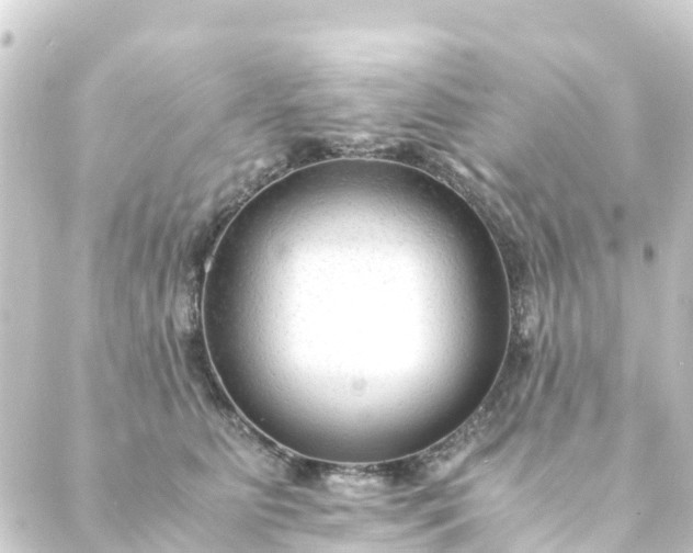 X0000088910515200706221933