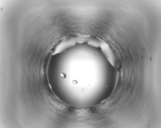 X0000088910516200706221933