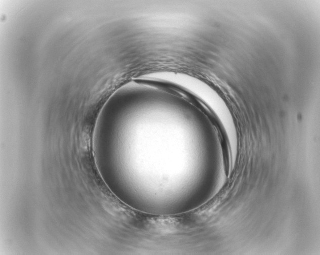 X0000088910517200706221933