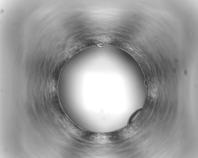 X0000088910518200706221933