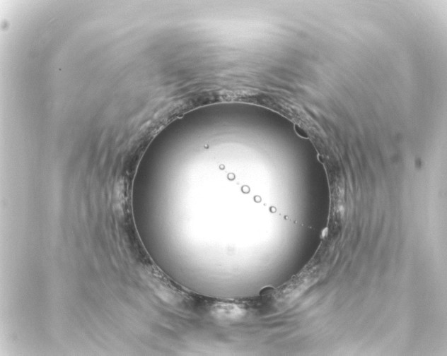 X0000088910519200706221933