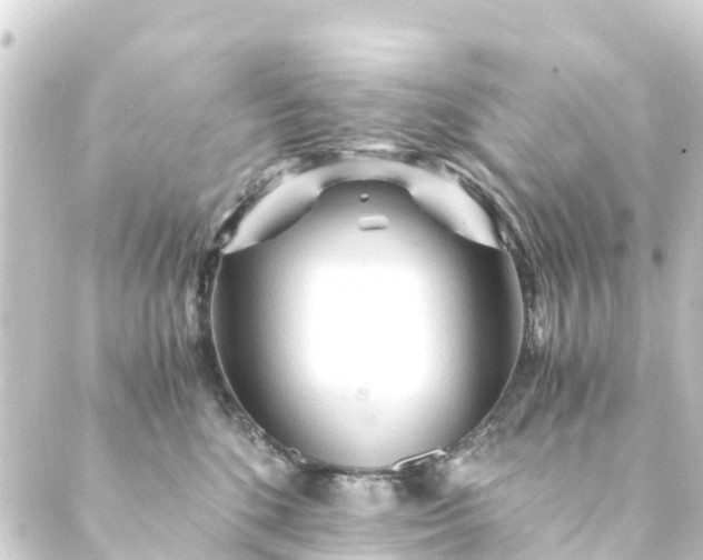 X0000088910520200706221933