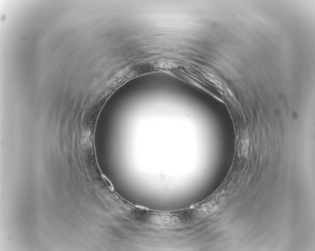 X0000088910521200706221933