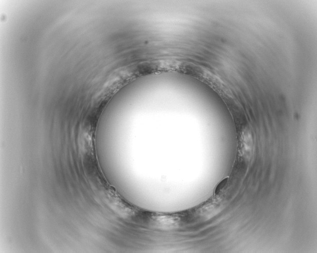 X0000088910522200706221932