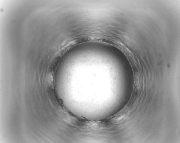 X0000088910523200706221932