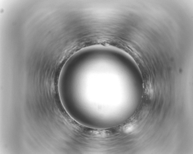 X0000088910524200706221932