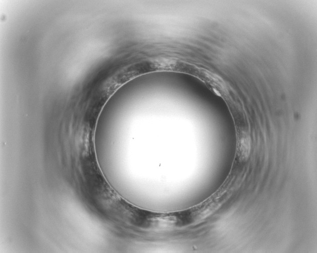 X0000088910525200706221932