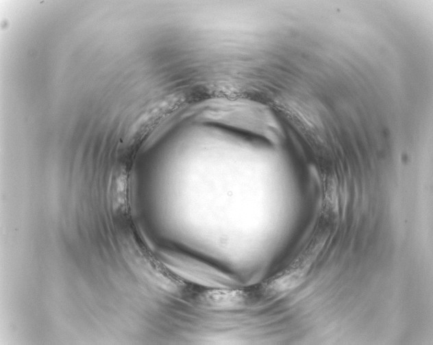 X0000088910526200706221932