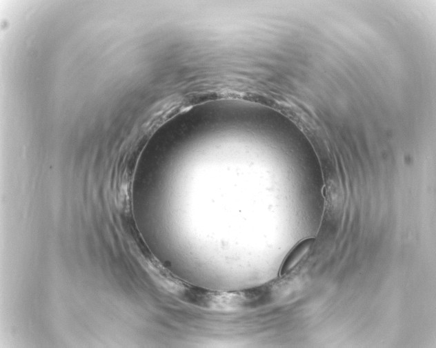 X0000088910527200706221932