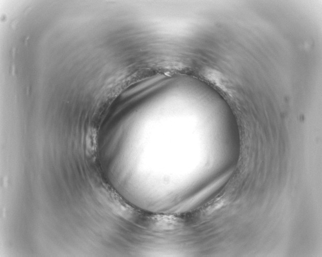 X0000088910528200706221932