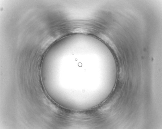 X0000088910529200706221932