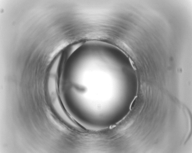 X0000088910530200706221932