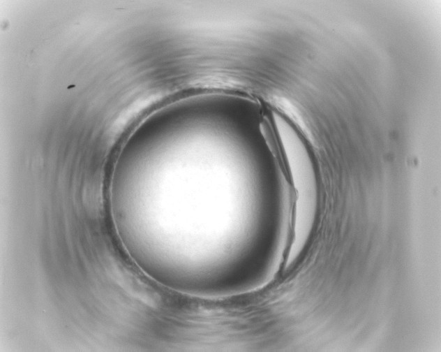 X0000088910531200706221932