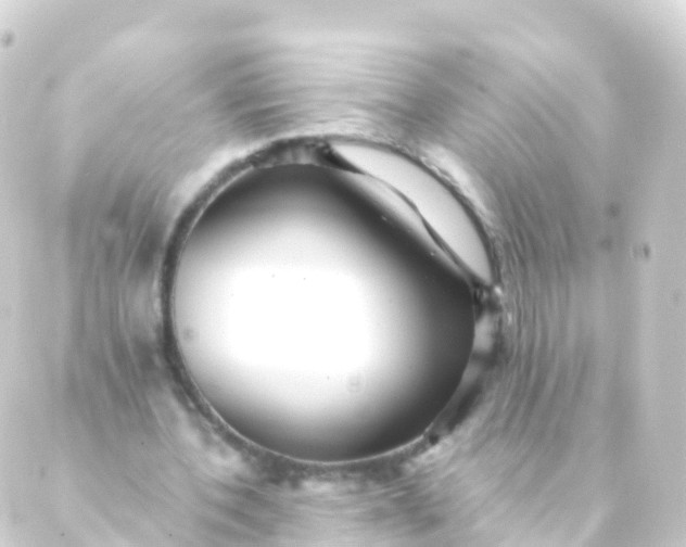 X0000088910532200706221932