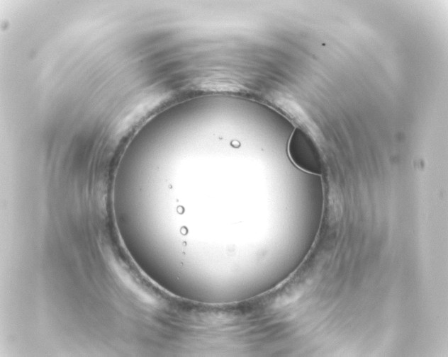 X0000088910533200706221932