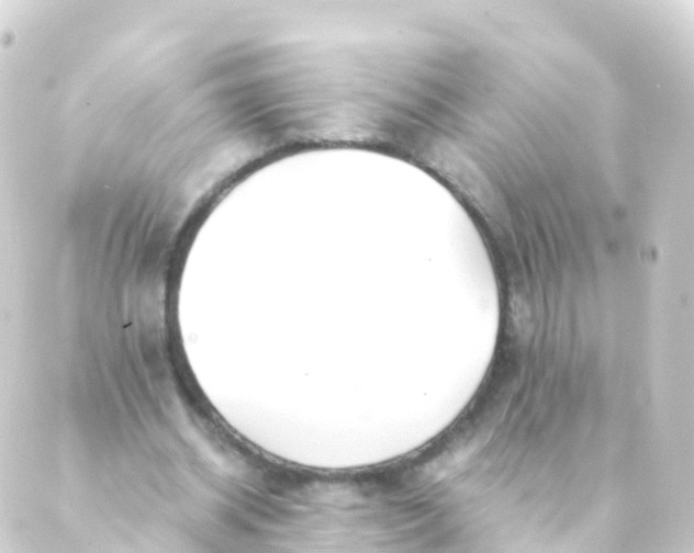 X0000088910534200706221932