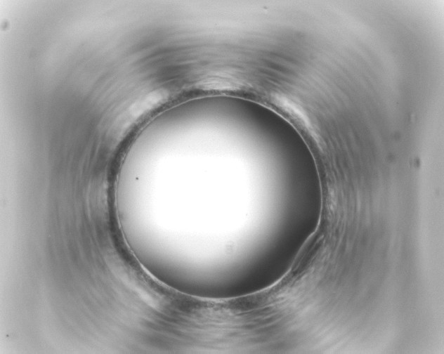 X0000088910535200706221932