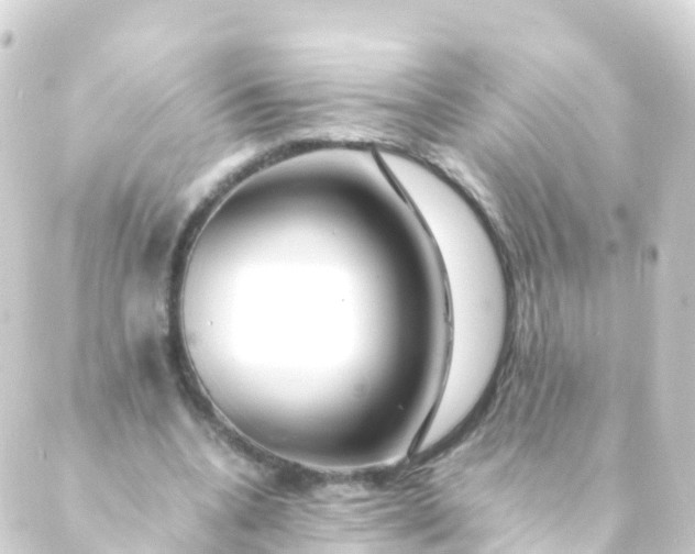 X0000088910536200706221932