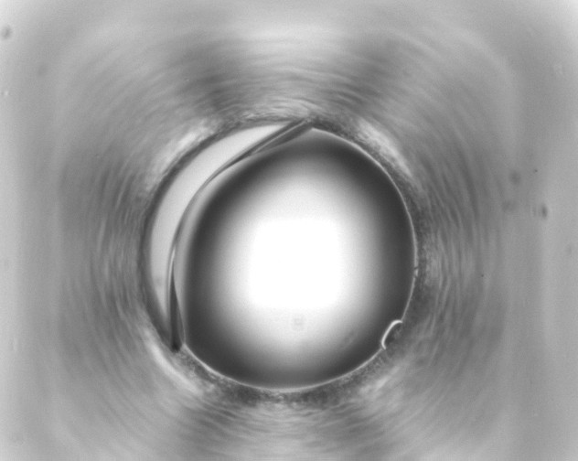 X0000088910538200706221932