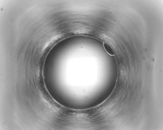 X0000088910539200706221932