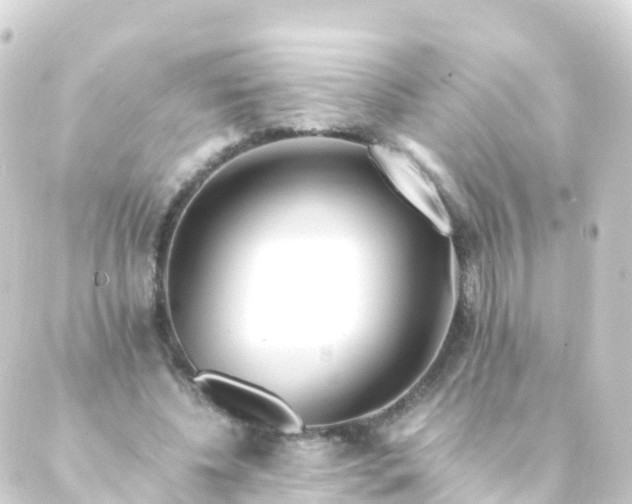 X0000088910540200706221932