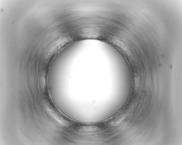 X0000088910541200706221932