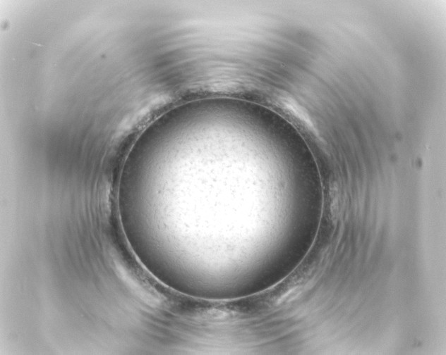 X0000088910542200706221932