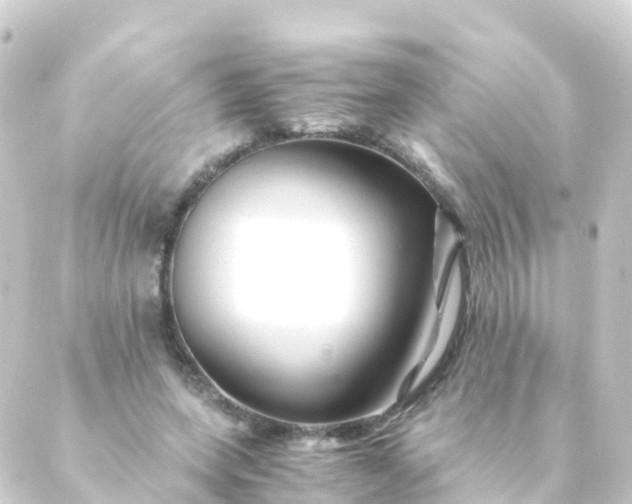 X0000088910543200706221932