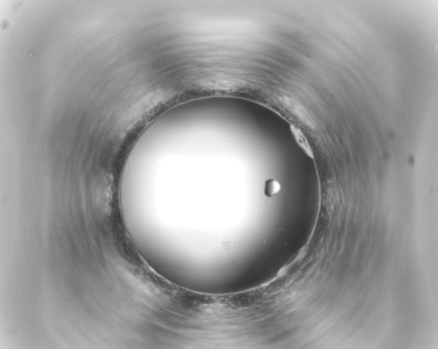 X0000088910544200706221932