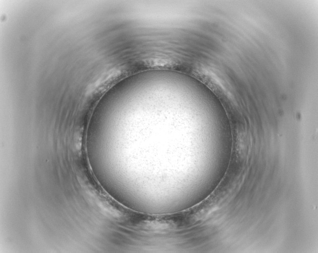 X0000088910545200706221932