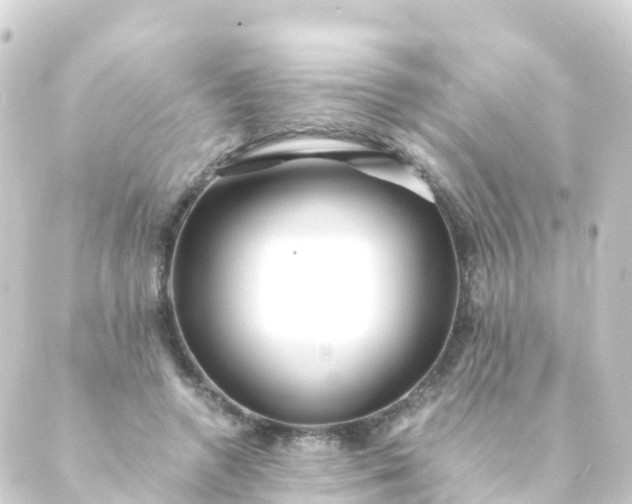 X0000088910546200706221932