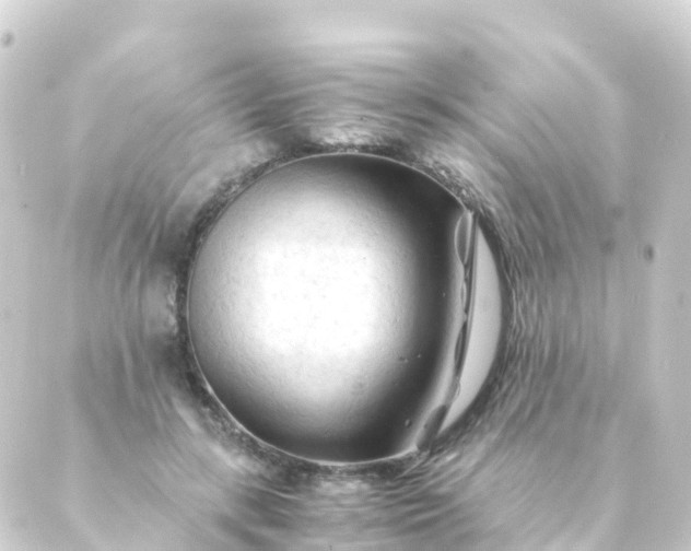 X0000088910547200706221932