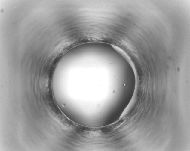 X0000088910548200706221932