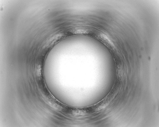 X0000088910549200706221932