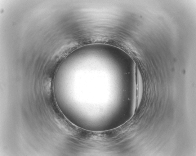 X0000088910550200706221932