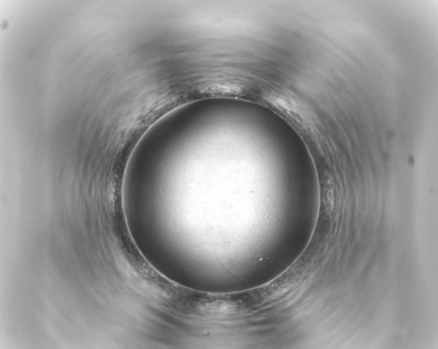 X0000088910551200706221932