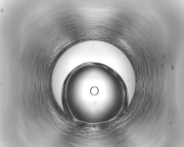 X0000088910552200706221932