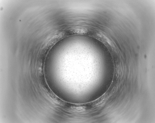 X0000088910553200706221932