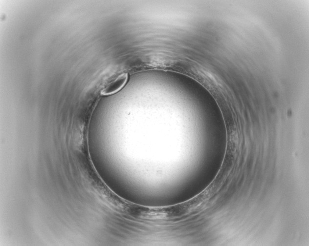 X0000088910554200706221932