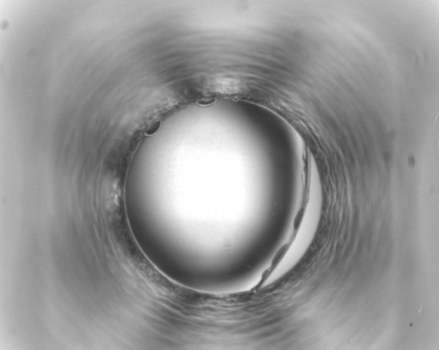 X0000088910555200706221932