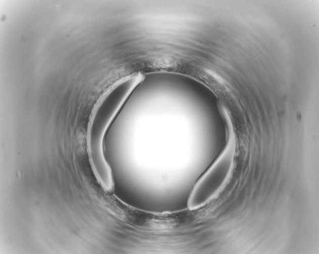 X0000088910556200706221932