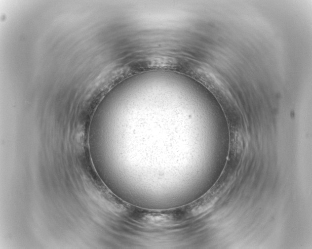 X0000088910557200706221932