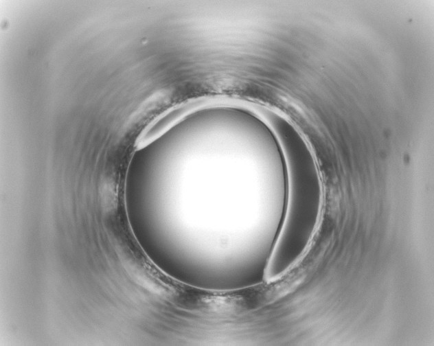 X0000088910558200706221932